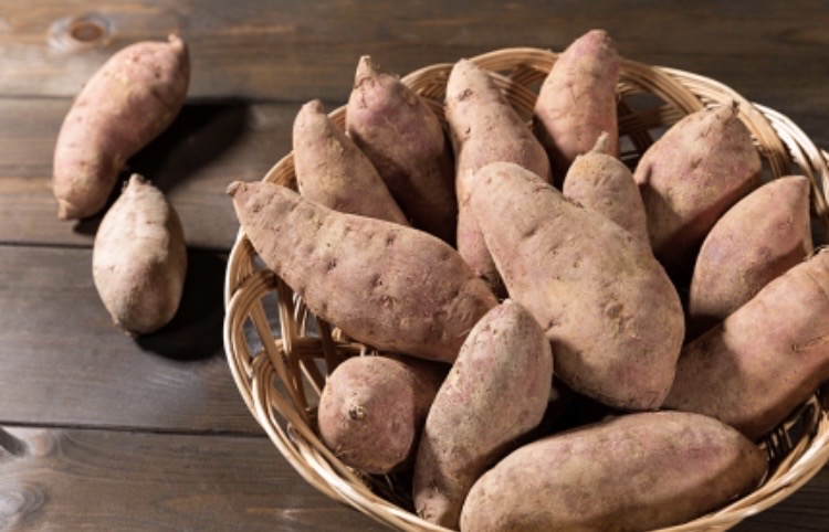 (무료배송) 해남 고구마