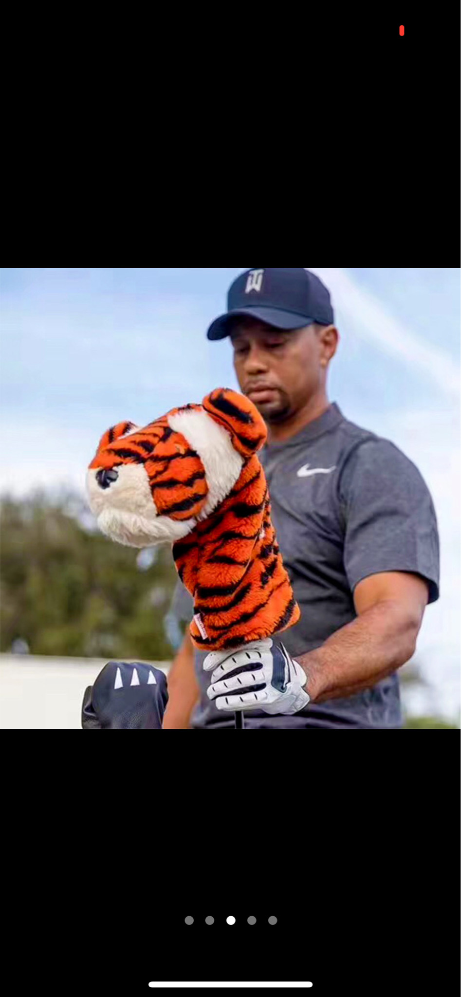 타이거 우즈 드라이버. 커버. 골프