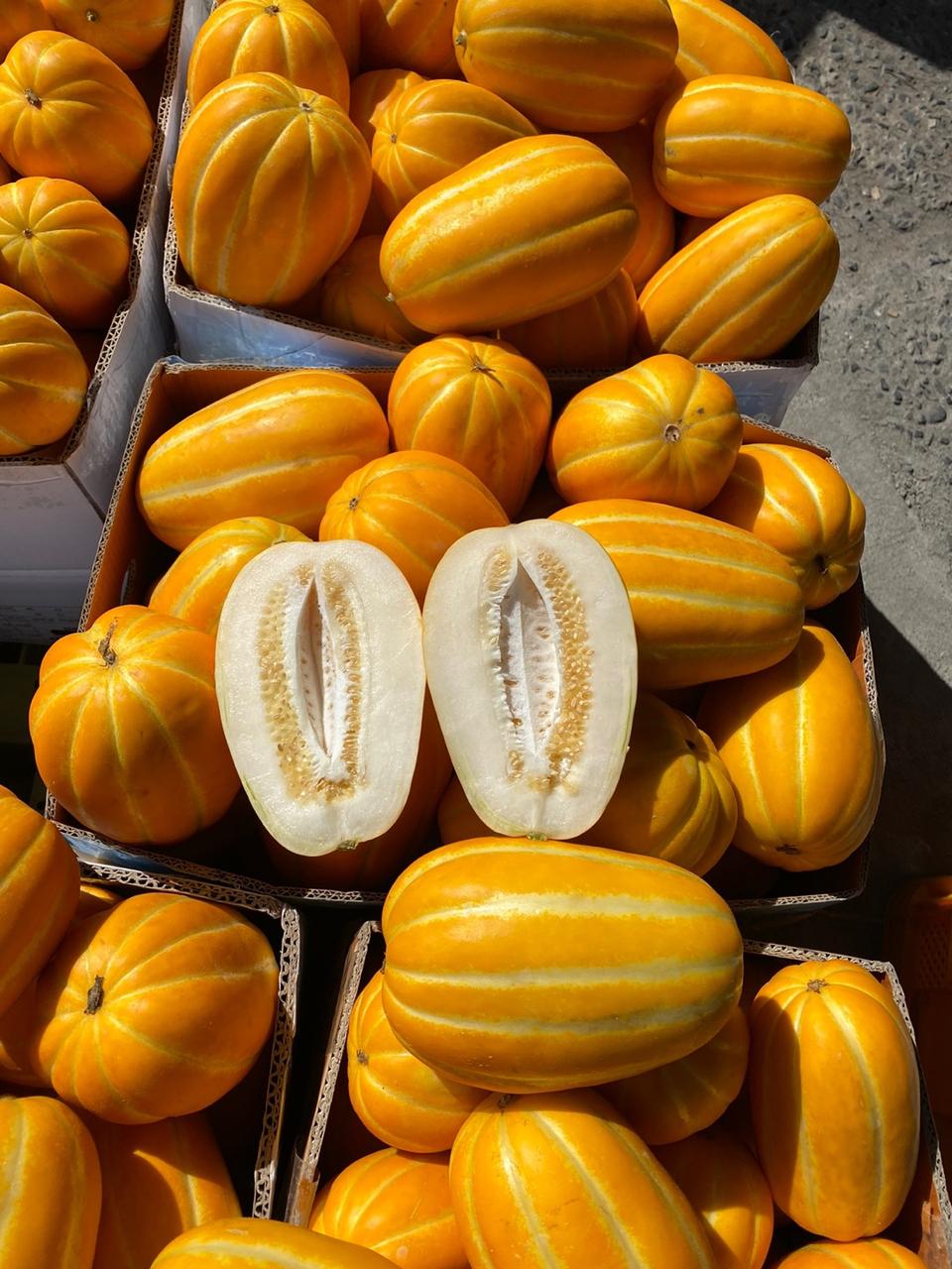 성주참외 판매합니다