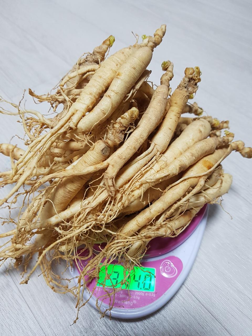 인삼(파삼)삼계탕용