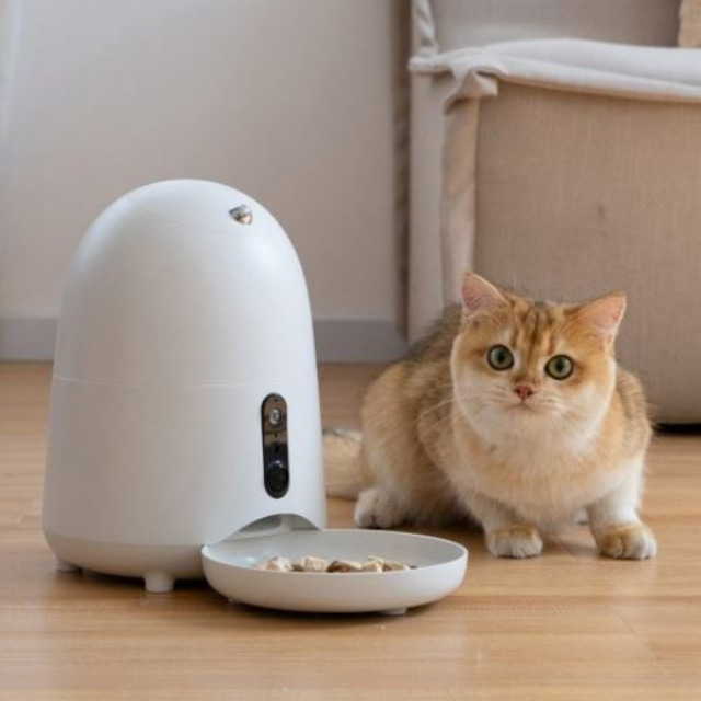 링펫 카메라 자동 급식기 APP사용 CP-2106