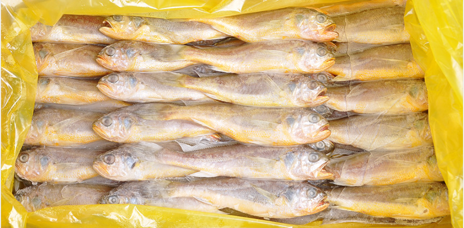 무료배송 50마리 냉동참조기3.5kg 내외 한마리당 사이즈 18~20cm