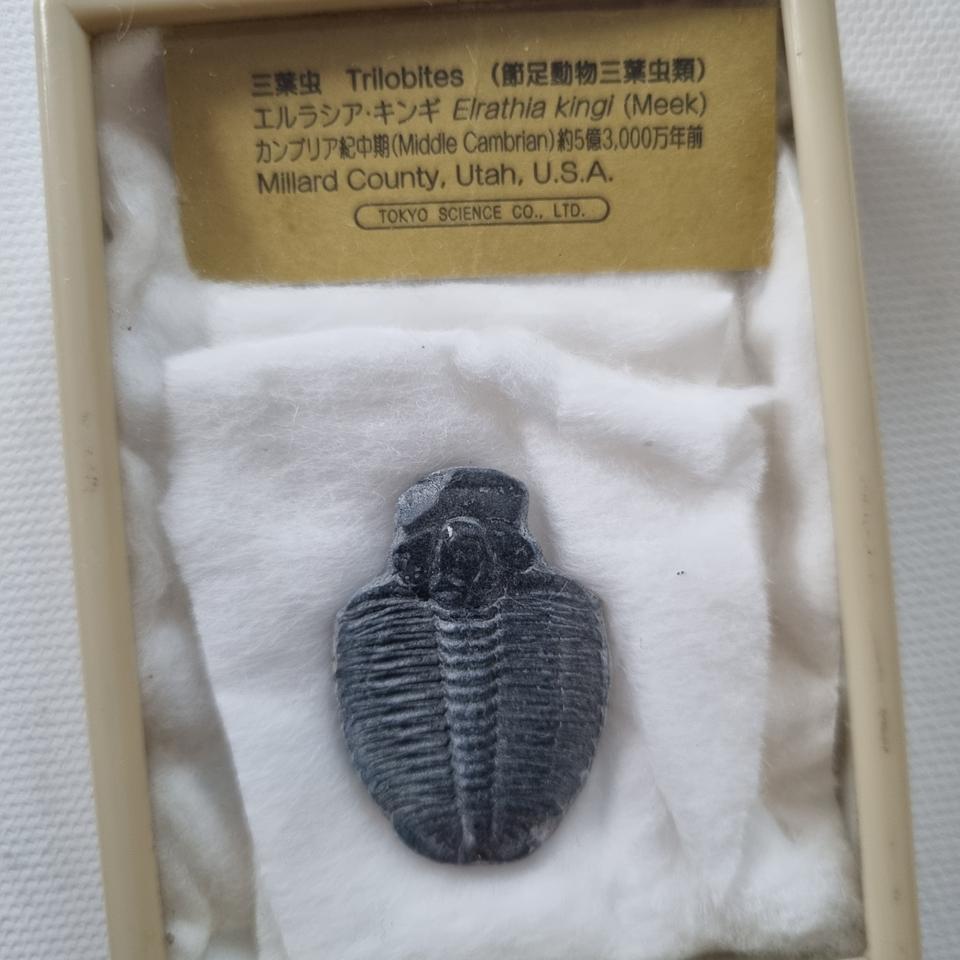 화석 3개.광물표본3개.아이들학습용.