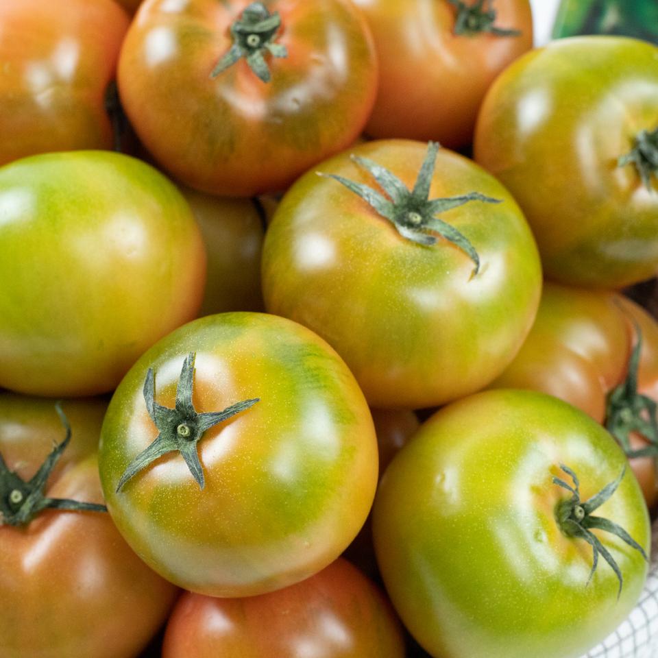 단짠단짠 대저토마토2.5kg L 1박스 무료배송