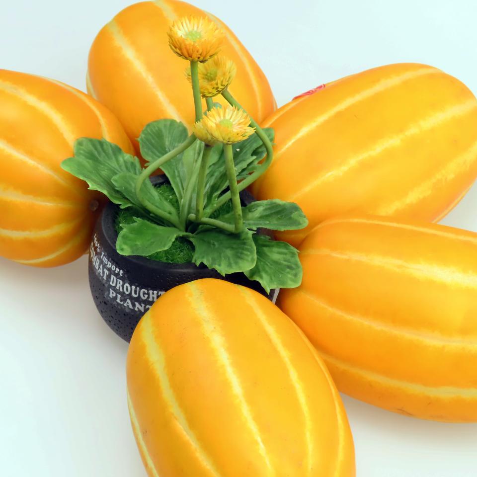 성주 꼬마꿀참외10kg(51~61과)무료배송