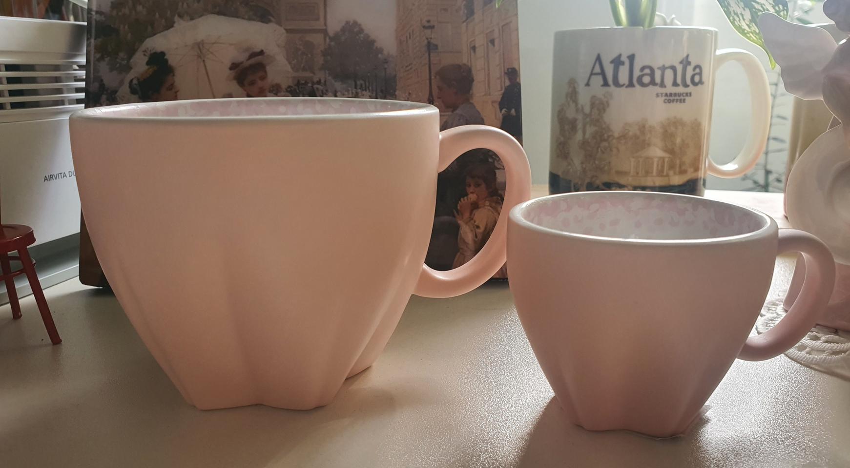 스타벅스 16 체리블라썸 머그 /체리블라썸 데미 일괄