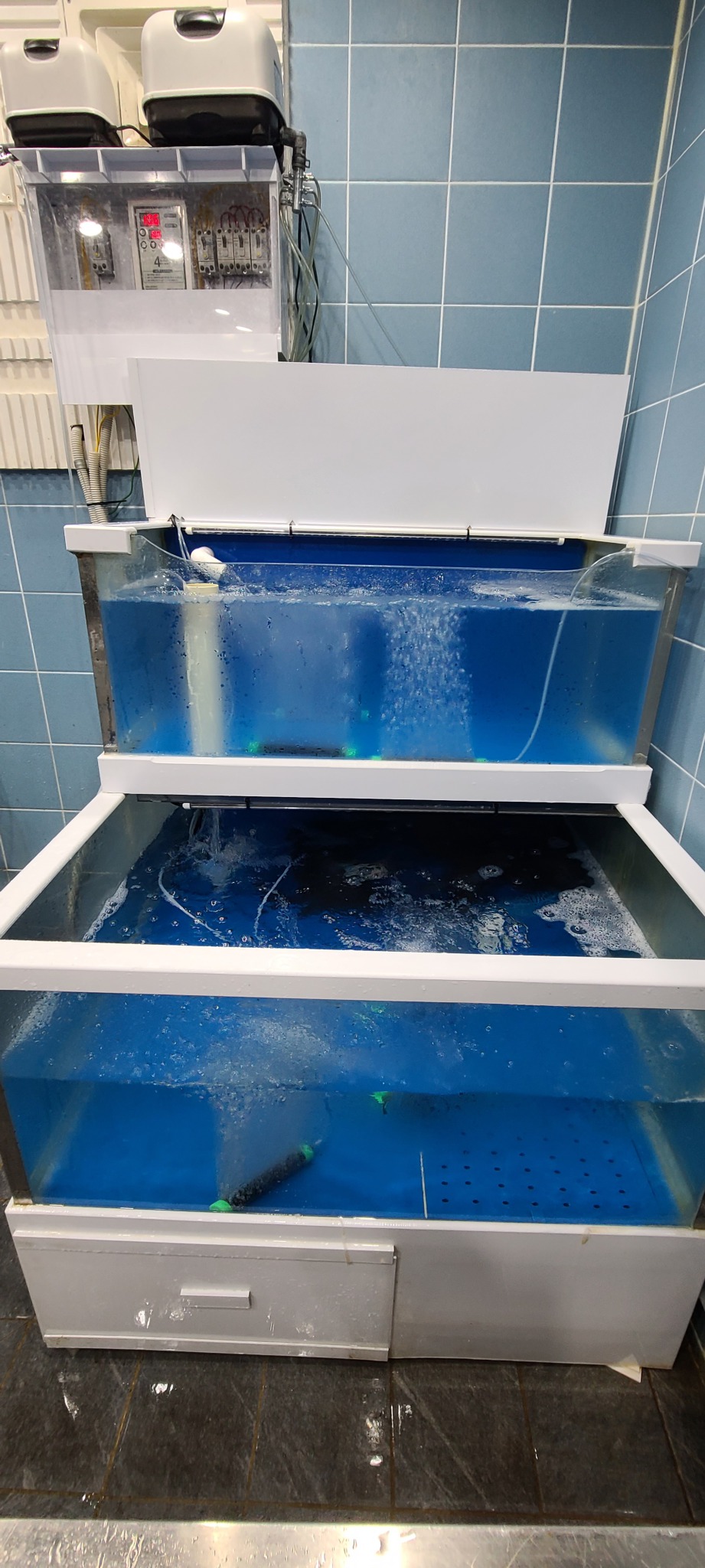 활어수족관 팔아요