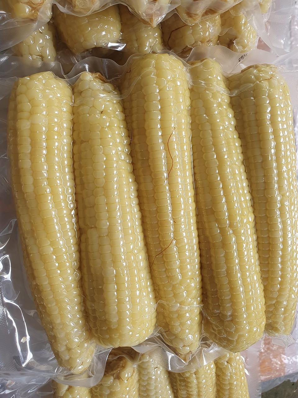 강원도 홍천 찰찐옥수수 10개,20개,30개,40개
