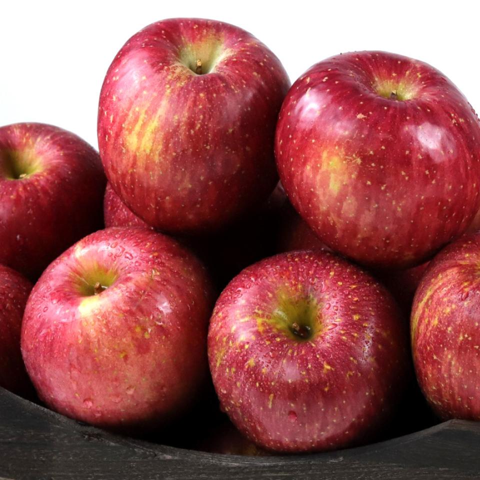 거창고랭지농장에서 직접기른 꿀사과(부사) 10kg 특/못난이흠과