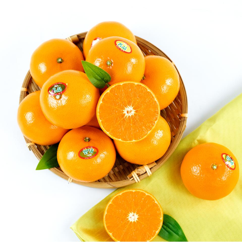 제주농장에서 직접 재배한 천혜향 5kg