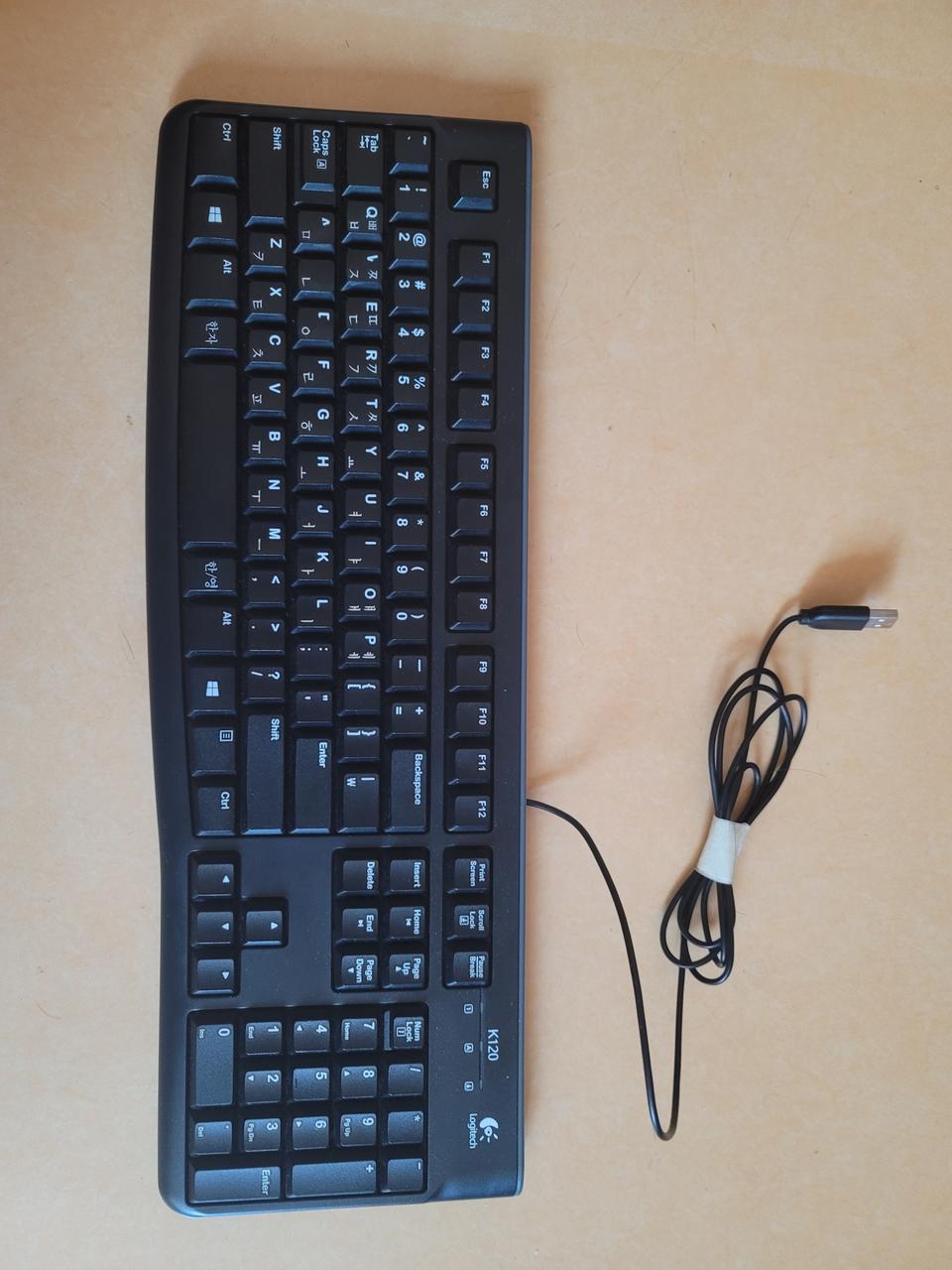 로지텍 K120 (구형)