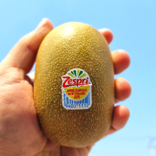 뉴질랜드에서온 제스프리 고당도 골드키위 1.3kg (9-11과)