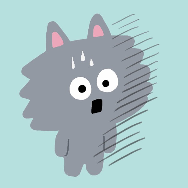 노홍철성인잡지팝니다