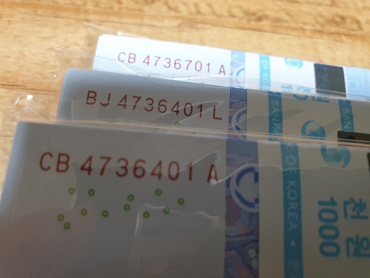 천원2+1쌍둥이다발