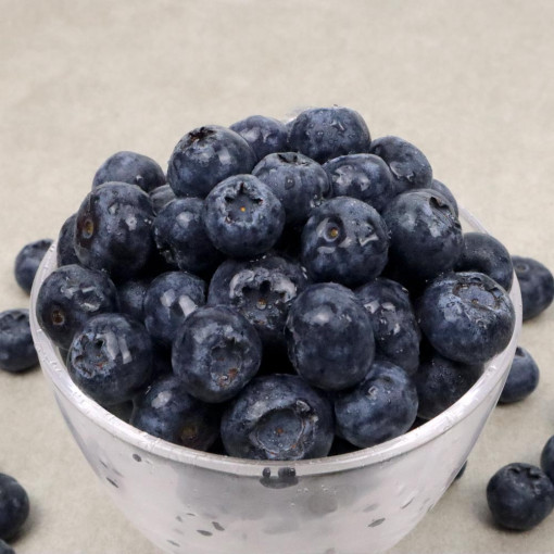 제주농장에서 갓 수확한 햇 생블루베리 500g