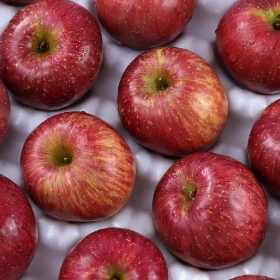 청송꿀사과 부사1.8kg내외 중과(7-9과)