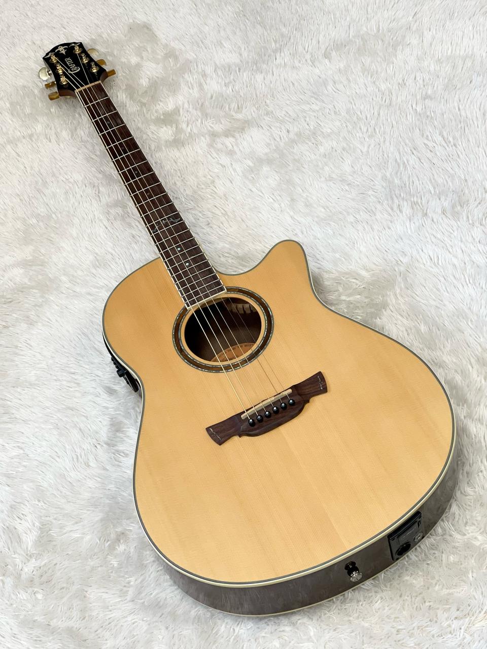 택배가능 / 크래프터 어드마이어 플러스 탑솔리드 기타