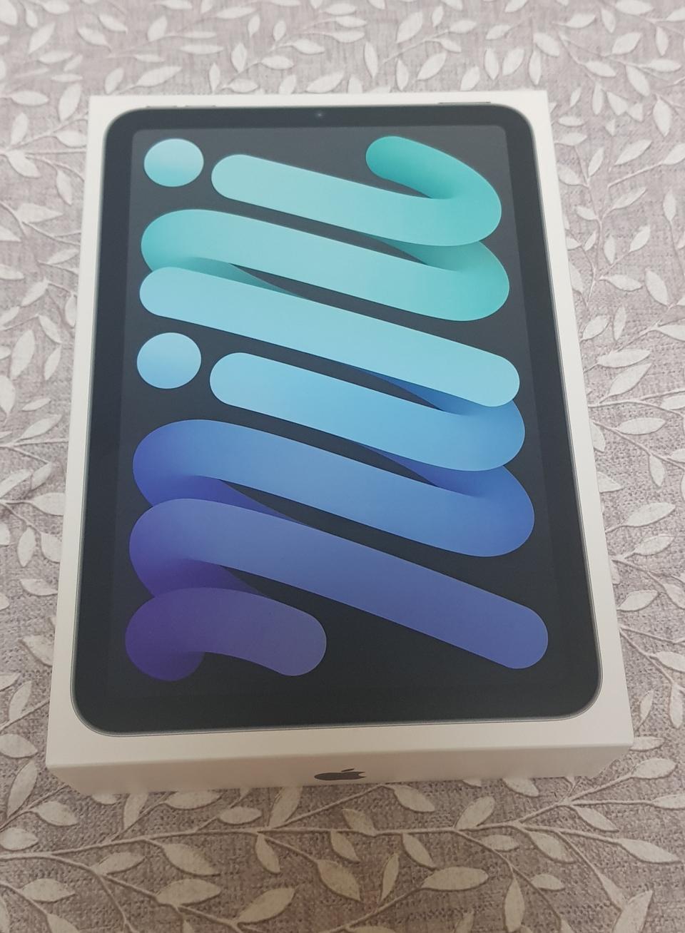 아이패드 미니 6 셀룰러 + wifi 64GB 스페이스그레이 박스만개봉