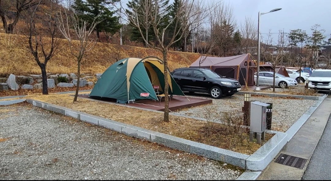 콜맨 커넥티드 돔 325