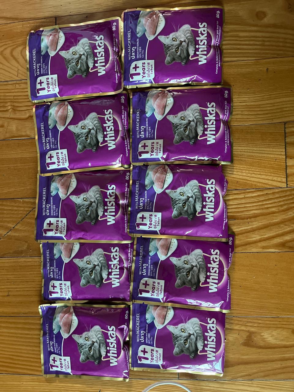 고양이 습식 파우치