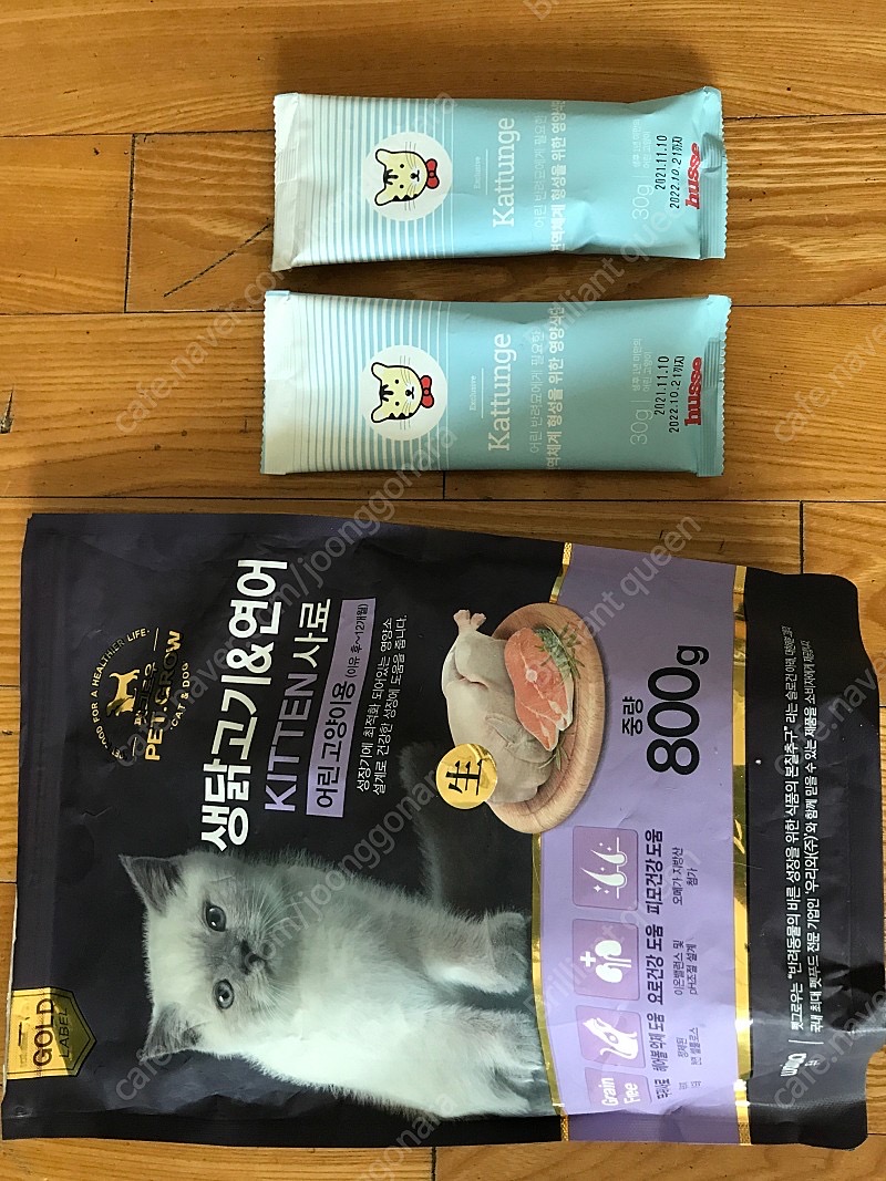 아기고양이사료