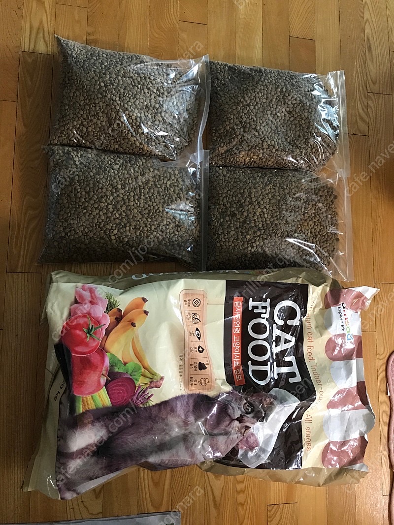 탐사 고양이사료 10kg