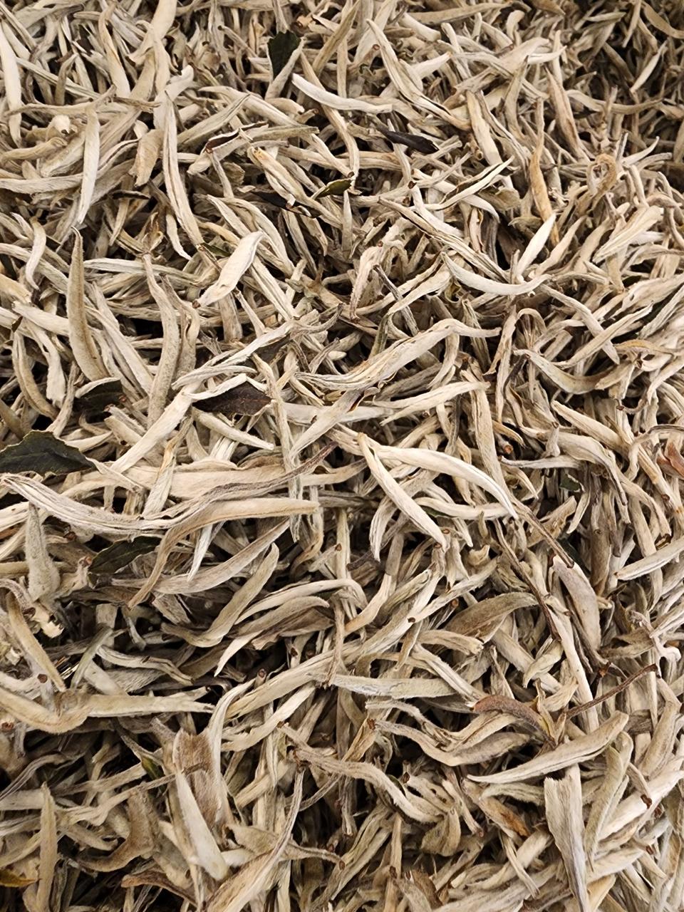 백호은침/상급백차