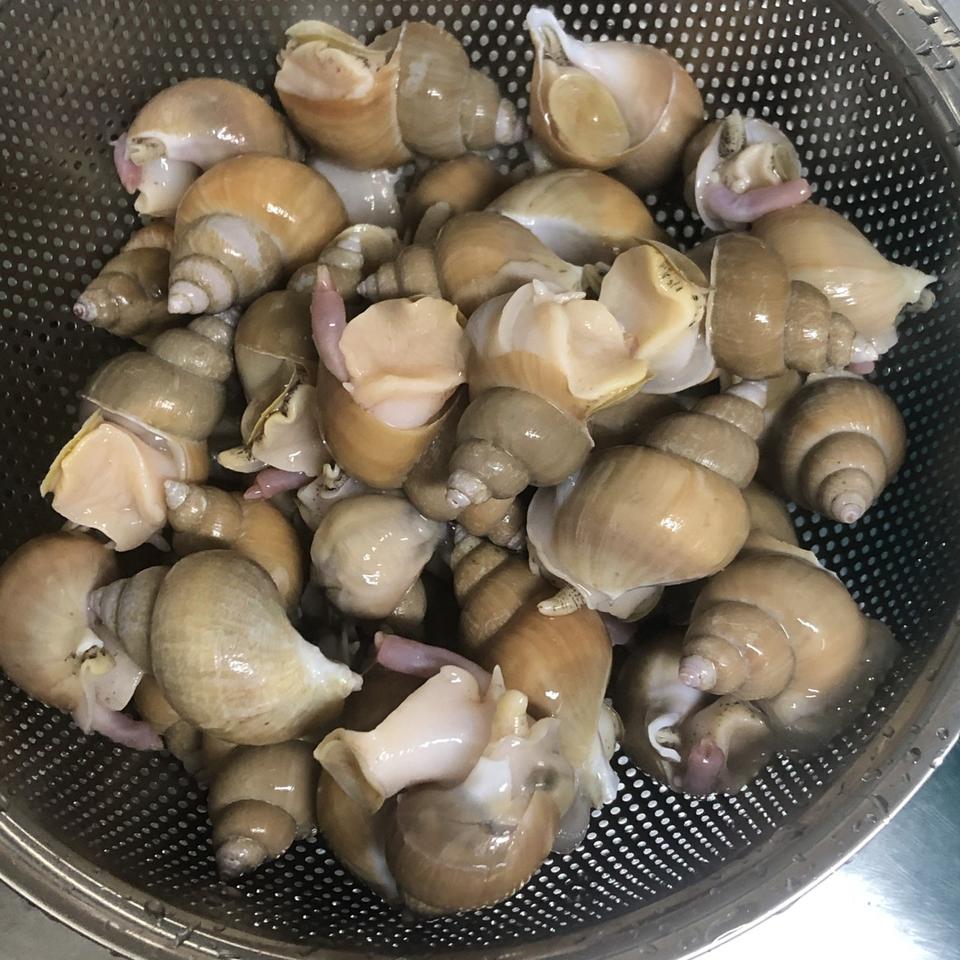 선주가보내는 활백고동