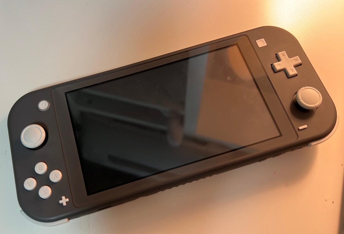 닌텐도 스위치 라이트 그레이 + 동물의 숲 게임 칩