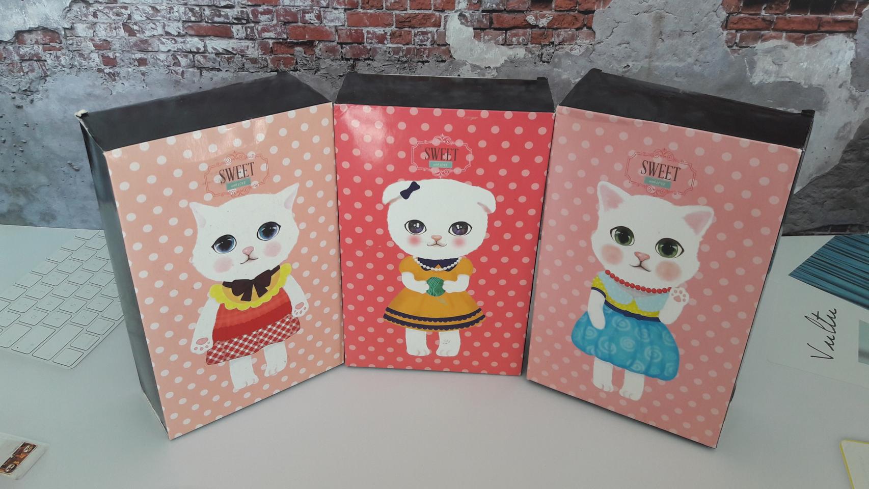 파우치 화장품 여성 손가방 정리함 보조가방 선물