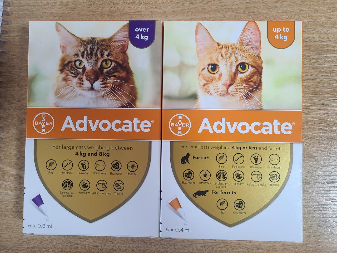 애드보킷(고양이 심장사상충)