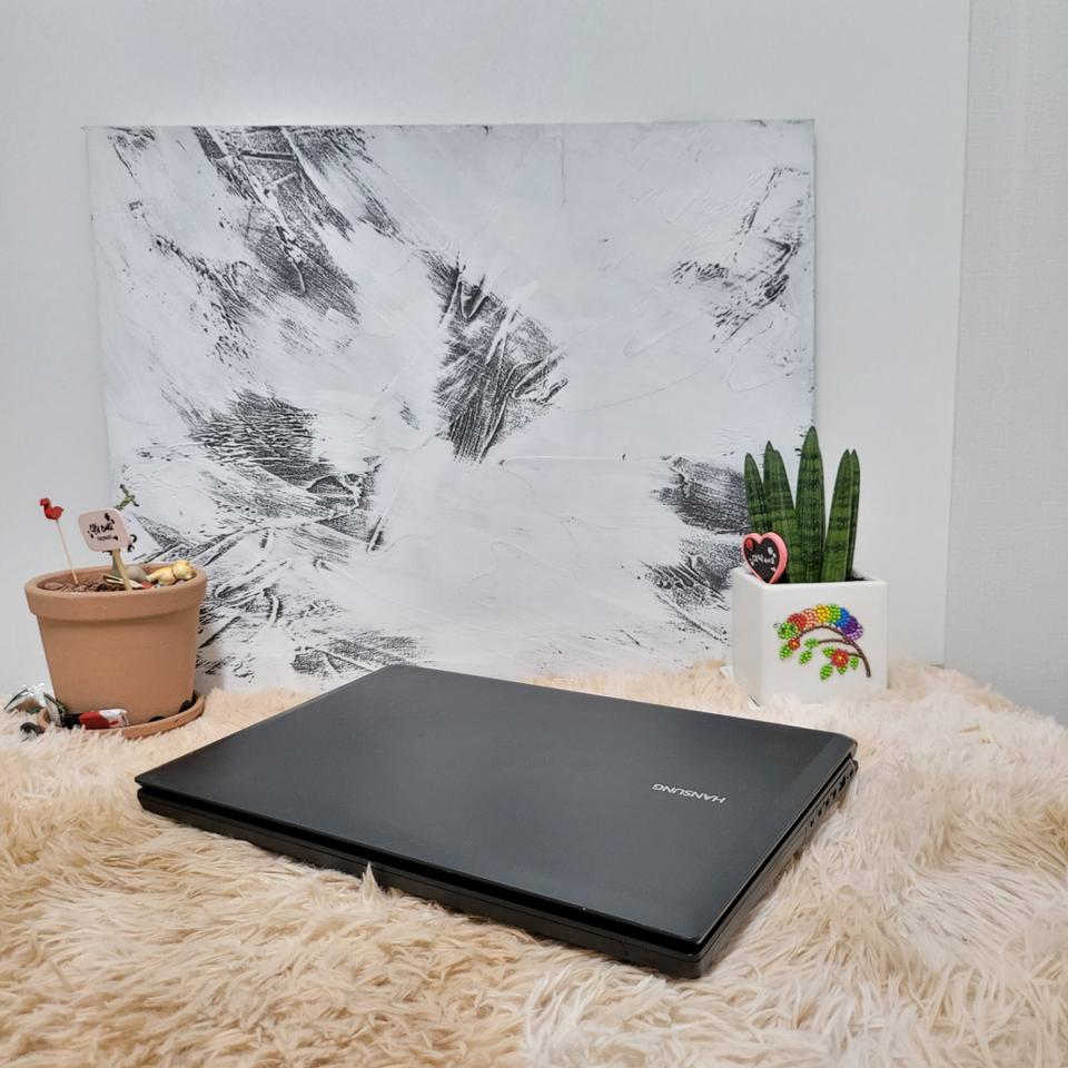 한성(15.6인치) 보스몬스터 게이밍 풀HD고화질 노트북 판매합니다.