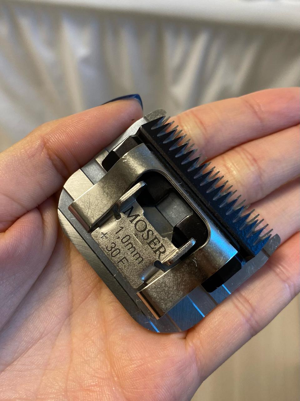 애견미용 클리퍼날