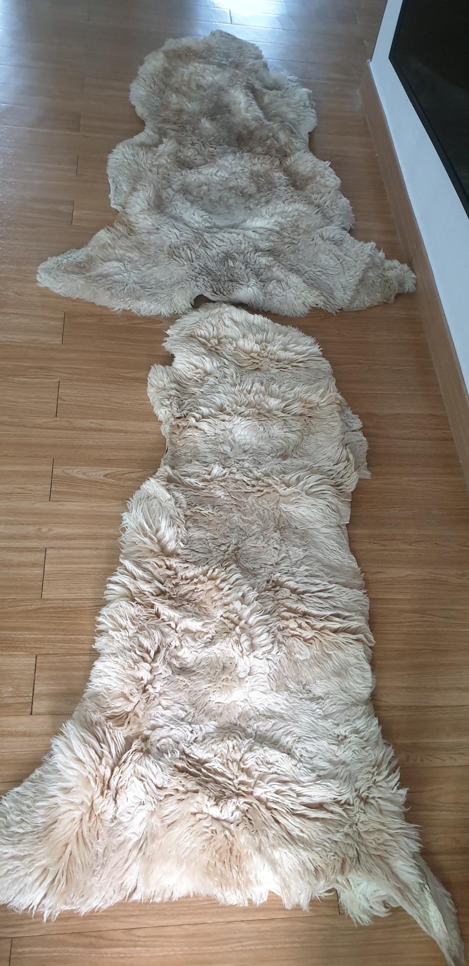 자동차시트카바2개