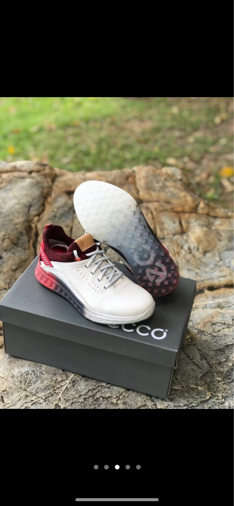 에코 여성 골프화. 새상품. 240.