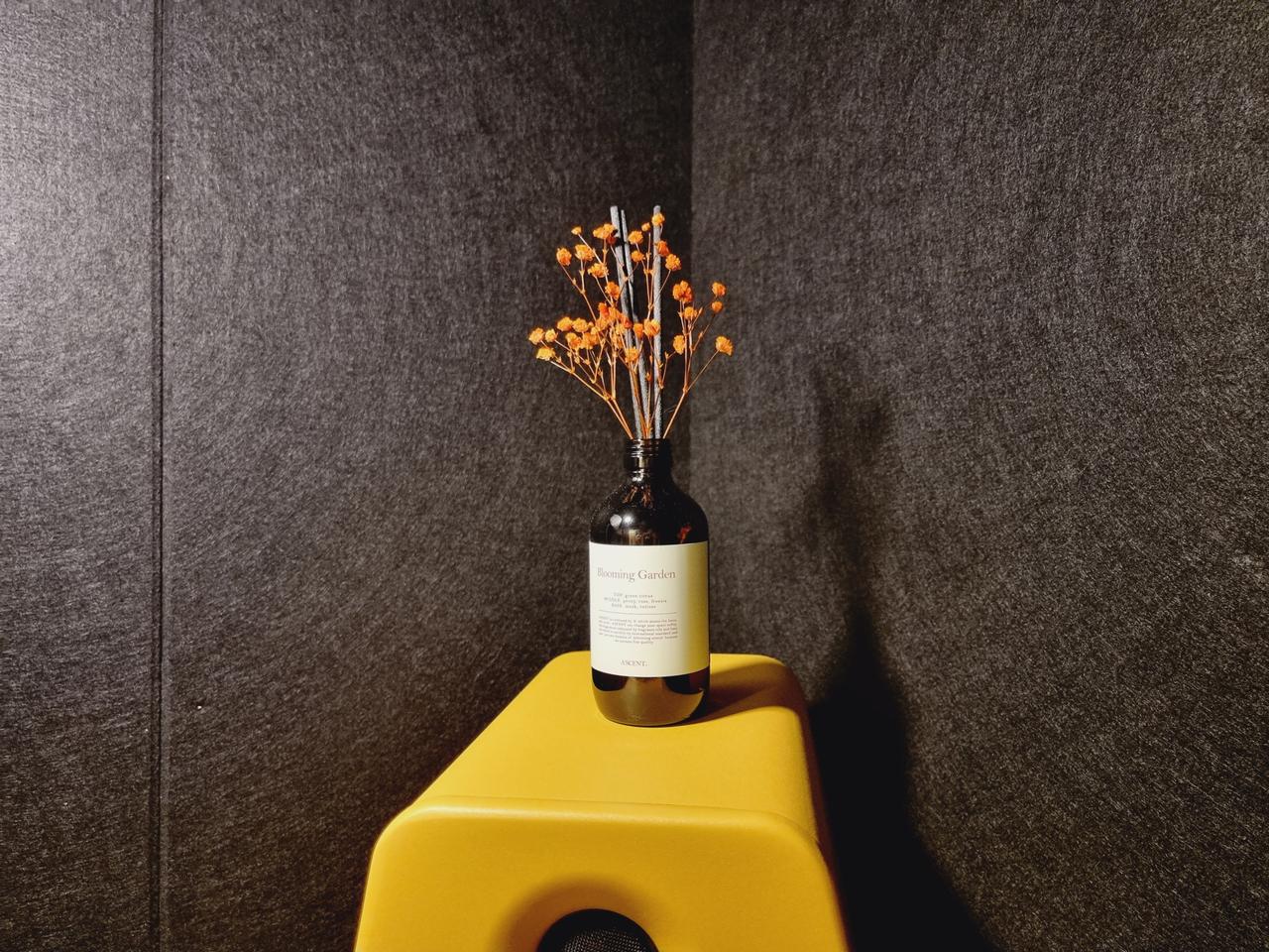 오진우님 레슨 비용