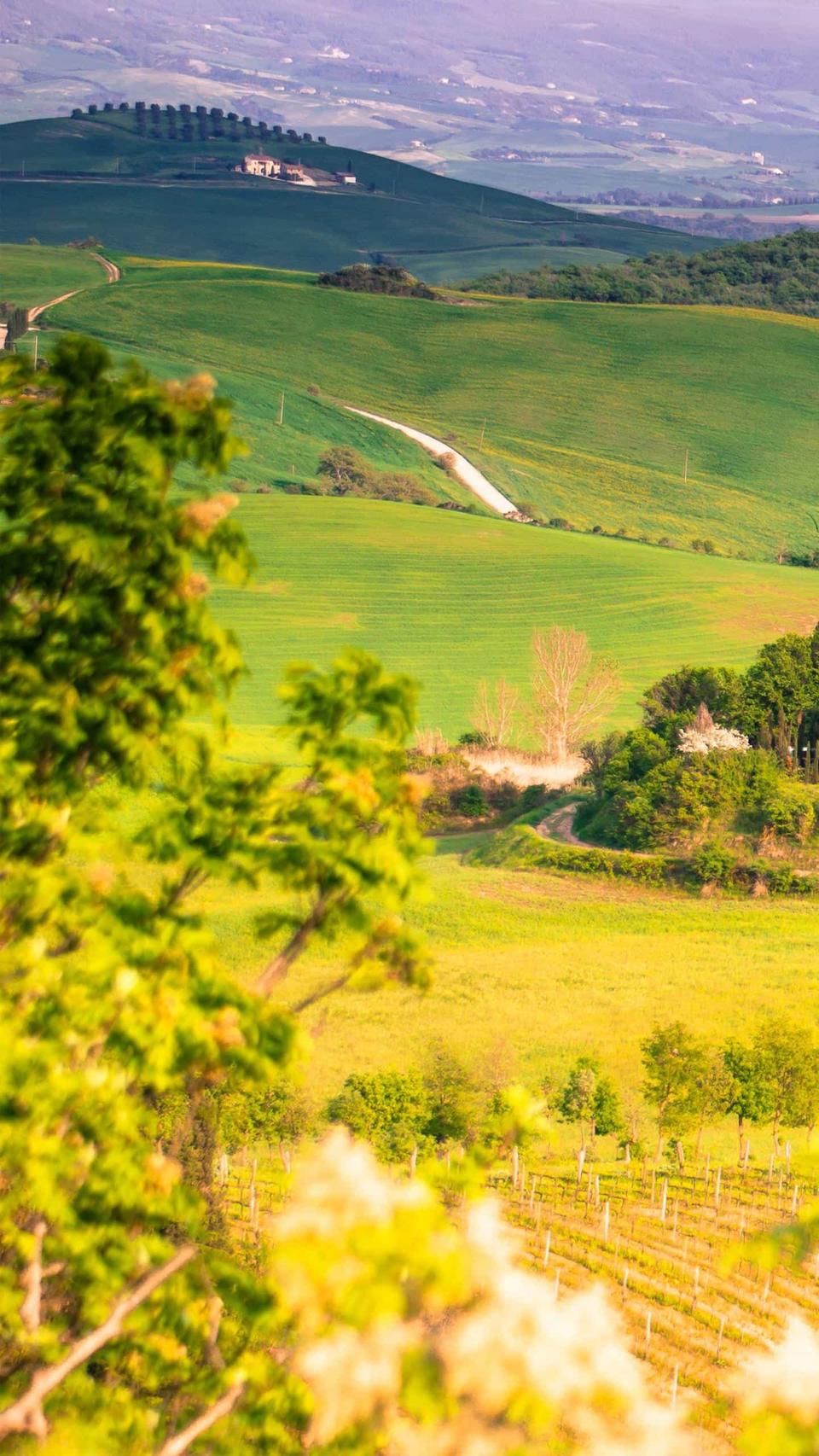 화웨이 비와이2 3만원 비와이3 2대 대당 3만5천원