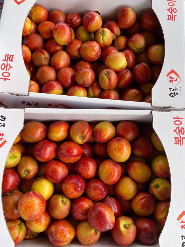 천도복숭아 2키로 5키로