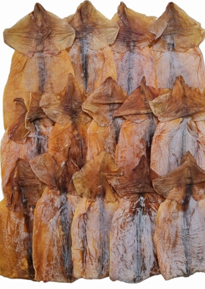 마른오징어 몸통만 12~15미 해풍건조 건어물 술안주