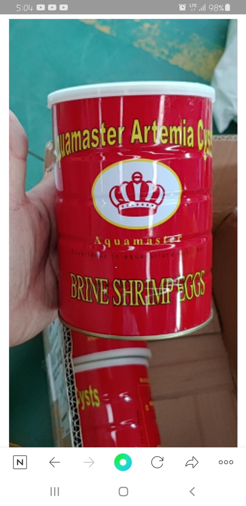 브라인 쉬림프 에그 팝니다.