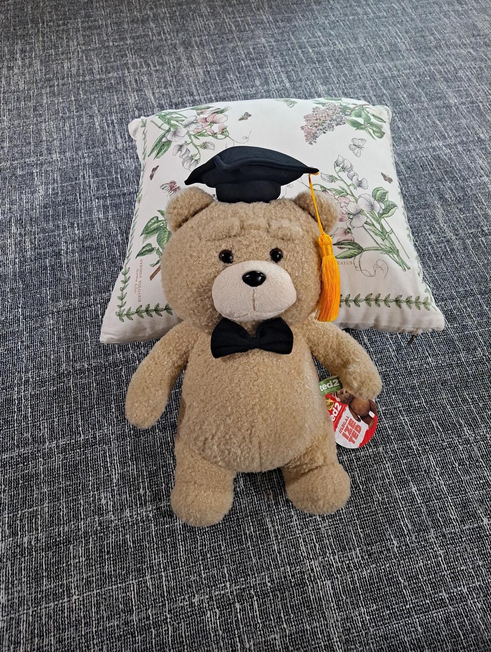 테드 2 졸업 인형 (새제품,36)