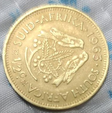 동전 금화? 모르는 동전 사진으로 대신 합니다.