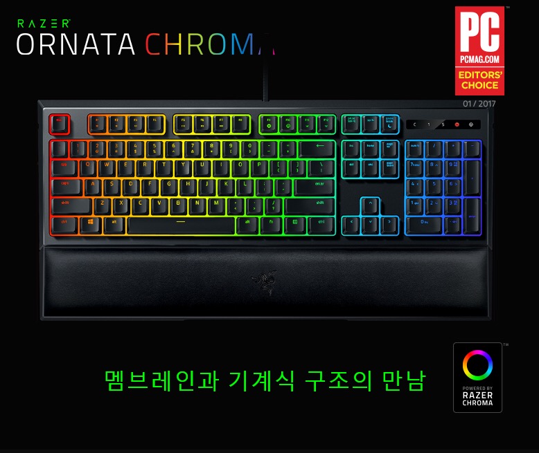 Razer 레이저 ORNATA 게이밍 키보드 RZ03 (손목받침대포함)