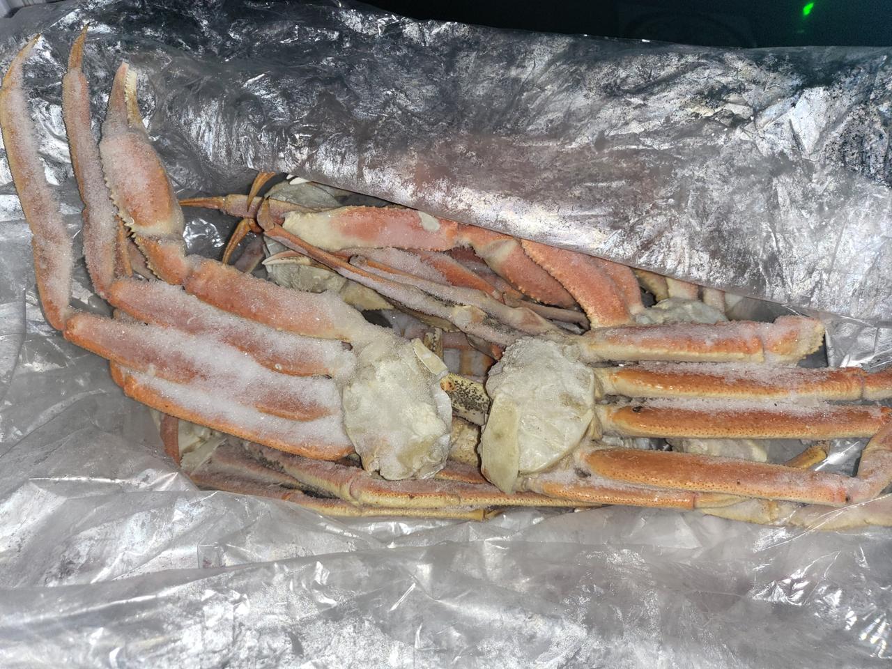 스노우크랩 대게 섹션 연평도 알베기 암꽃게