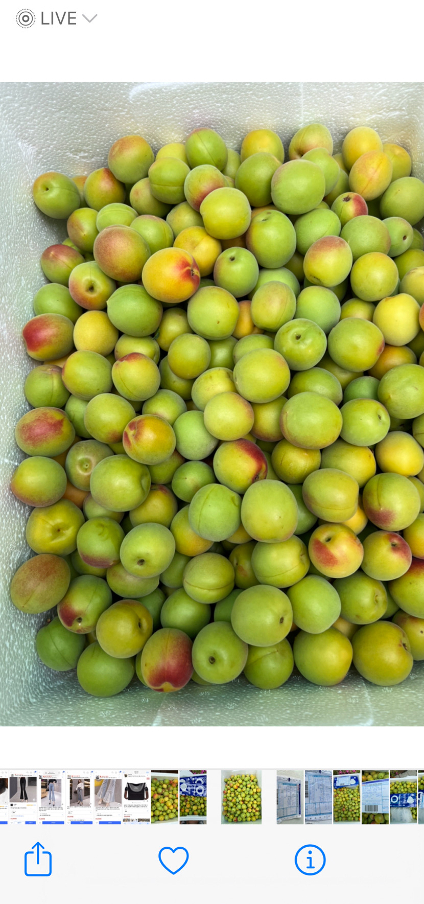 하동악양홍매실중운받습니다