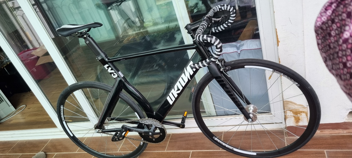 2022년 언노운픽시자전거LV3