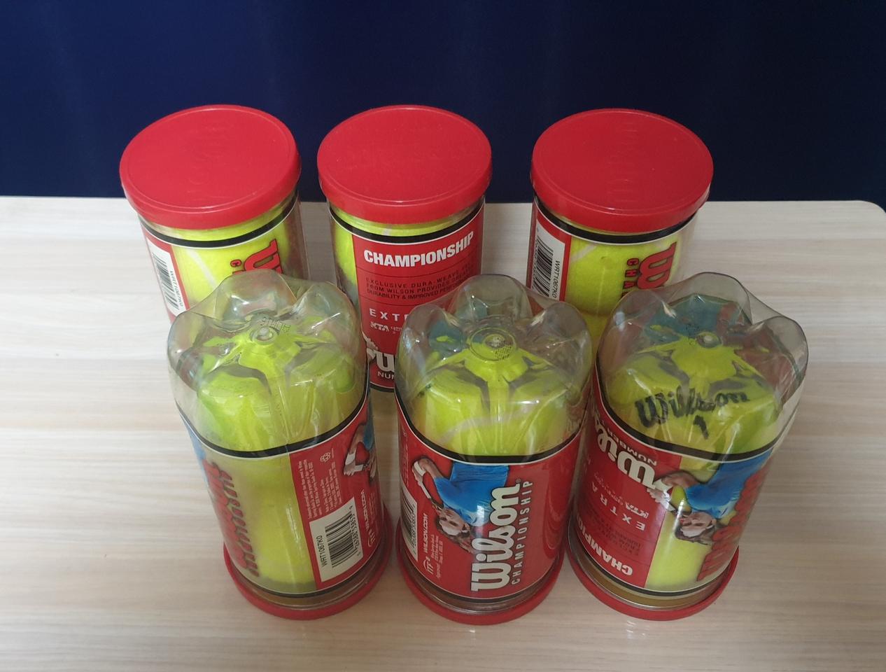 윌슨 테니스공 6통