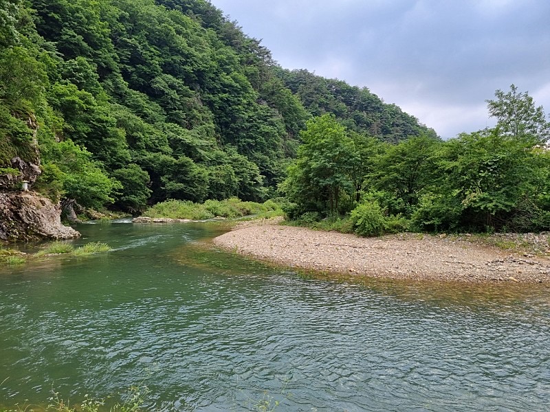 부엉캠핑클럽 캠핑장