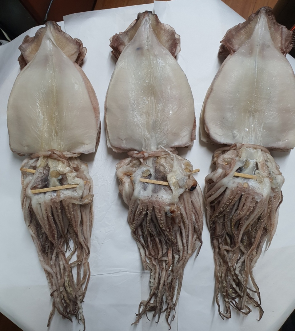 새상품) 오늘 들여온 동해안 왕특대 반건조오징어 -10마리 (1.6kg)