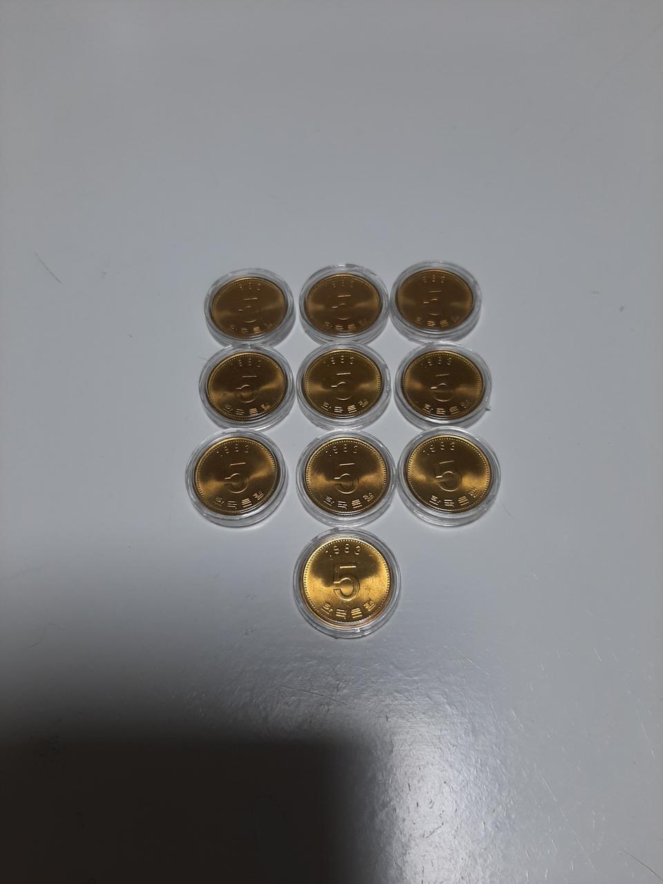 한국은행 주화 1983년 5주(미사용)